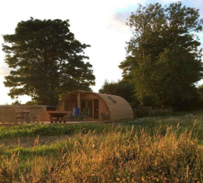 Brynllwyd Glamping